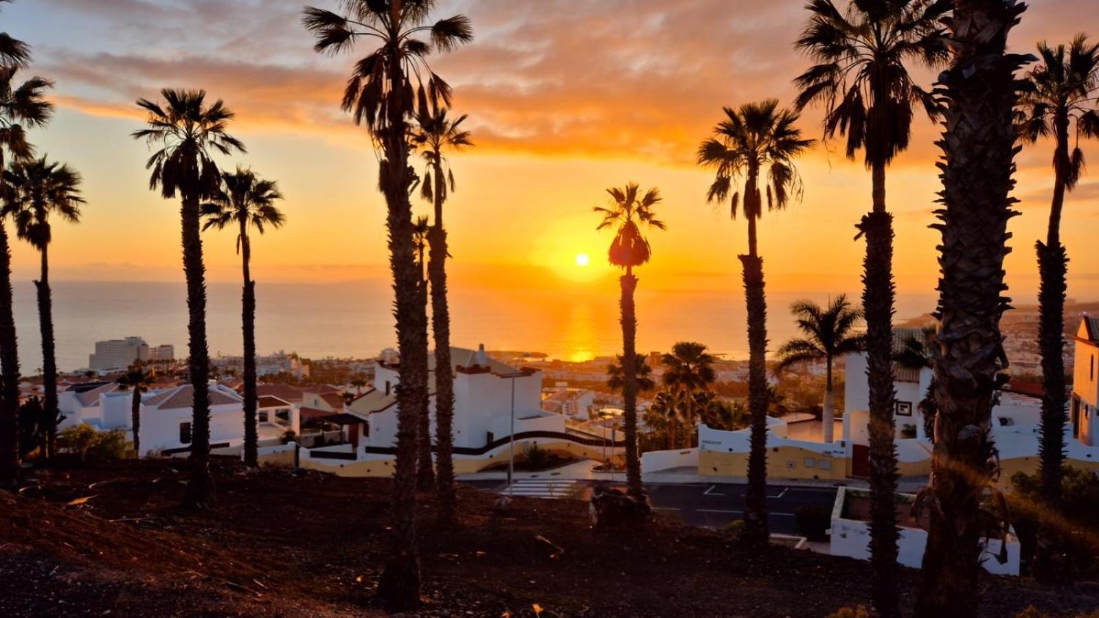 Costa Adeje Bungalow -Tenerife Εξωτερικό φωτογραφία